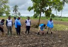 Lapas Gladakan Tanam Bibit Jagung, Wujud Nyata Dukungan terhadap Ketahanan Pangan Nasional