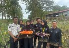 Lapas Kelas IIA Kembang Kuning Ikuti Panen Raya Ketahanan Pangan Serentak Kemenimipas, Panen Terong dan Tomat